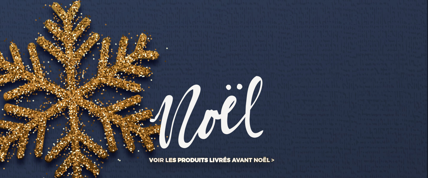 Noel 2020 : livrés avant Noel FR